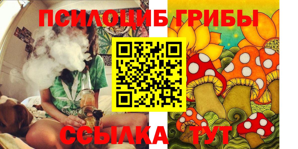 Галлюциногенные грибы Psilocybe  Вход с VPN  Шелехов 